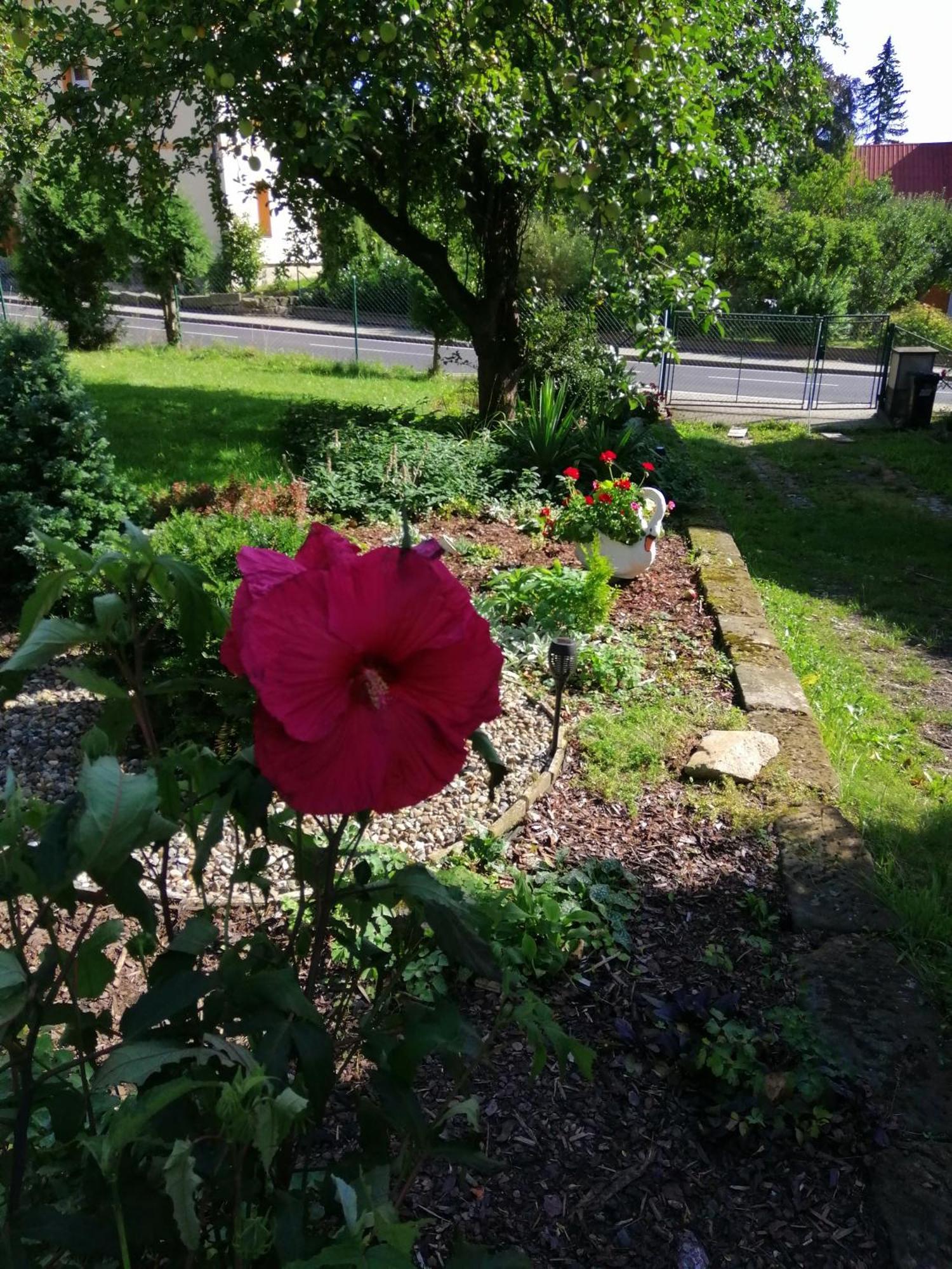 Penzion Jura Chřibská Exterior foto