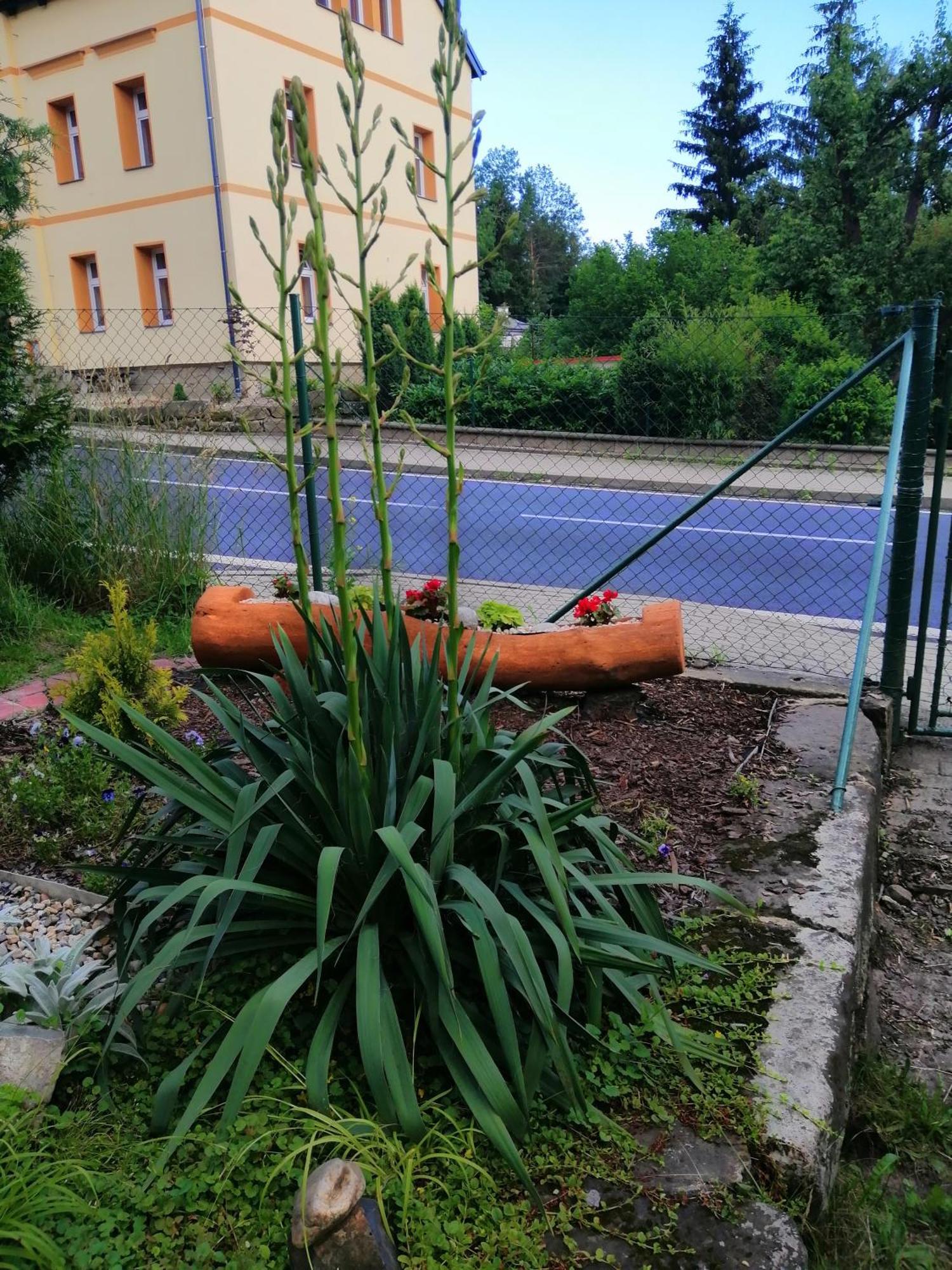 Penzion Jura Chřibská Exterior foto